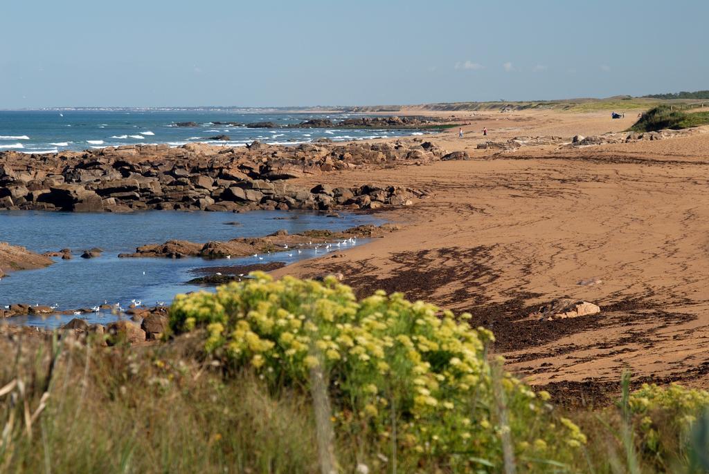 Vacanceole - Les Jardins De L'Amiraute Les Sables-dʼOlonne Kültér fotó